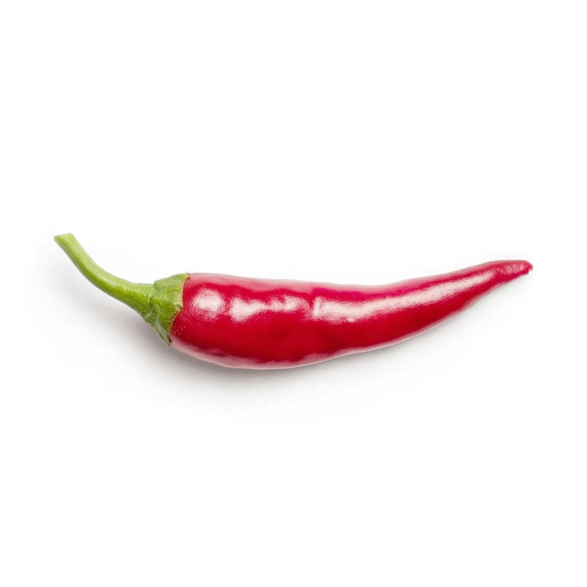 Chiles Mexicanos: Guía de Variedades y Usos