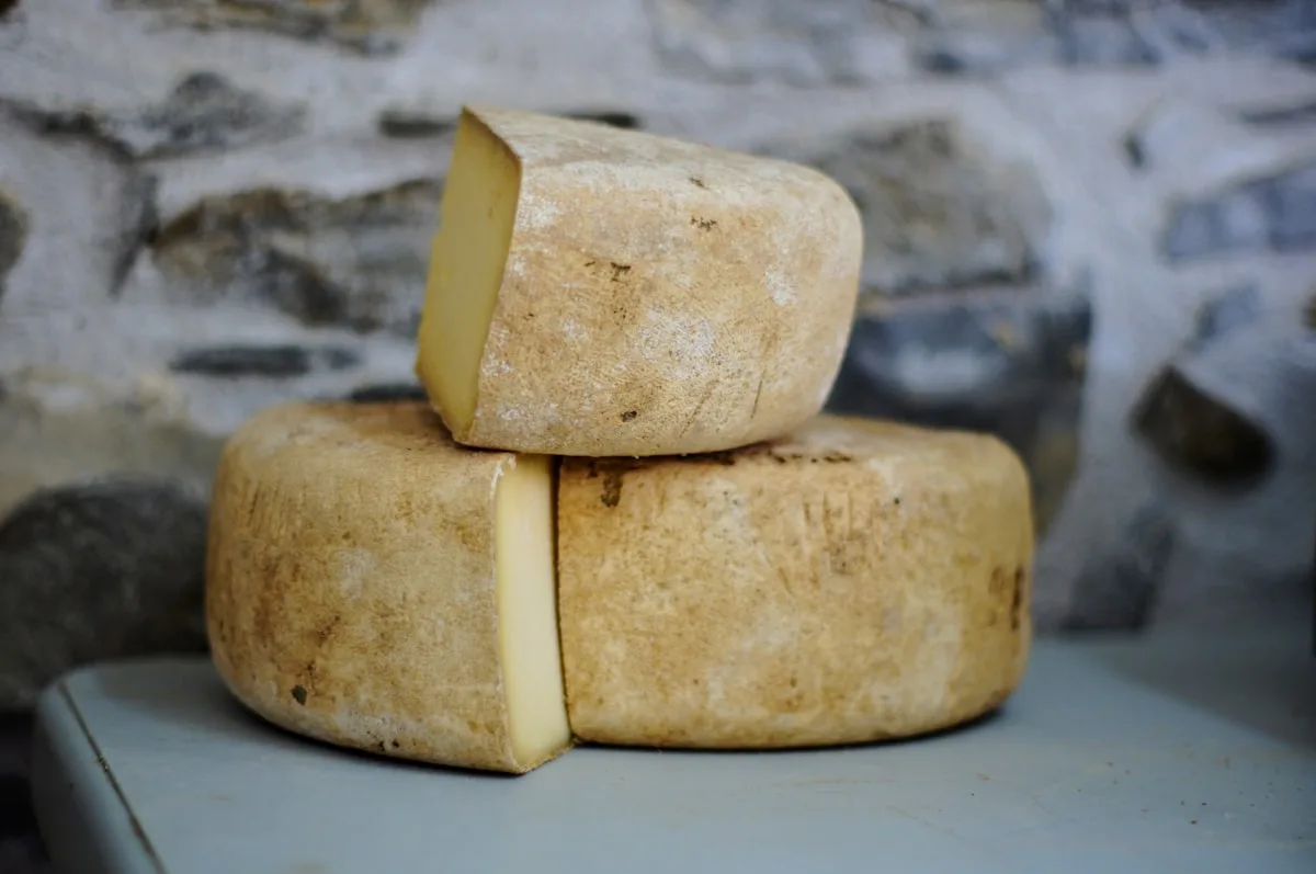 Mexican Cheese in the US: Where to Buy It and the Best Substitutes
